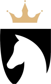 საჭადრაკო კლუბ „მერანის“ ემბლემა · Chess Club Merani crest
